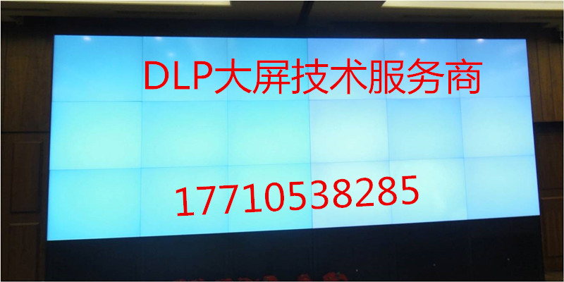 DLPĻά޹˾