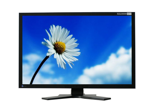 [Eizo]FlexScan S3031W